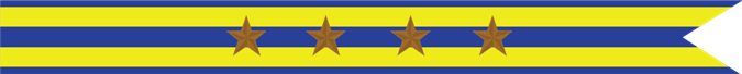 United States Navy Expeditionary Campaign Streamer with 4 Bronze Stars